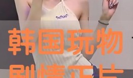 玩物韩国在线观看,在线观看带你领略异国风情与娱乐盛宴